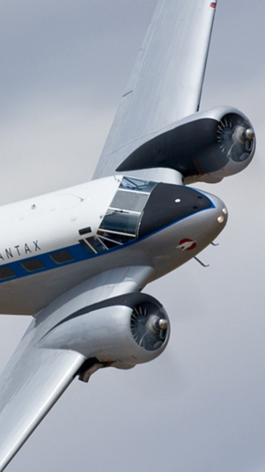 Exhibici&oacute;n en vuelo