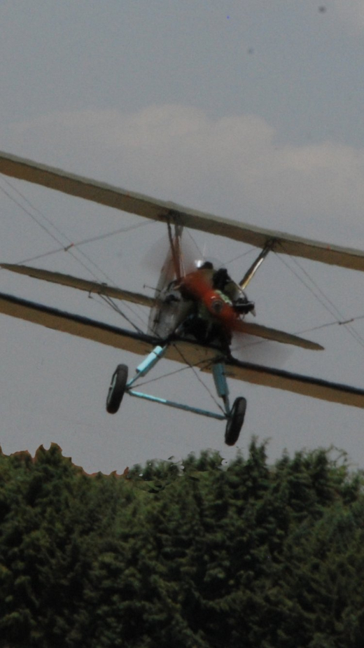 Exhibici&oacute;n en vuelo