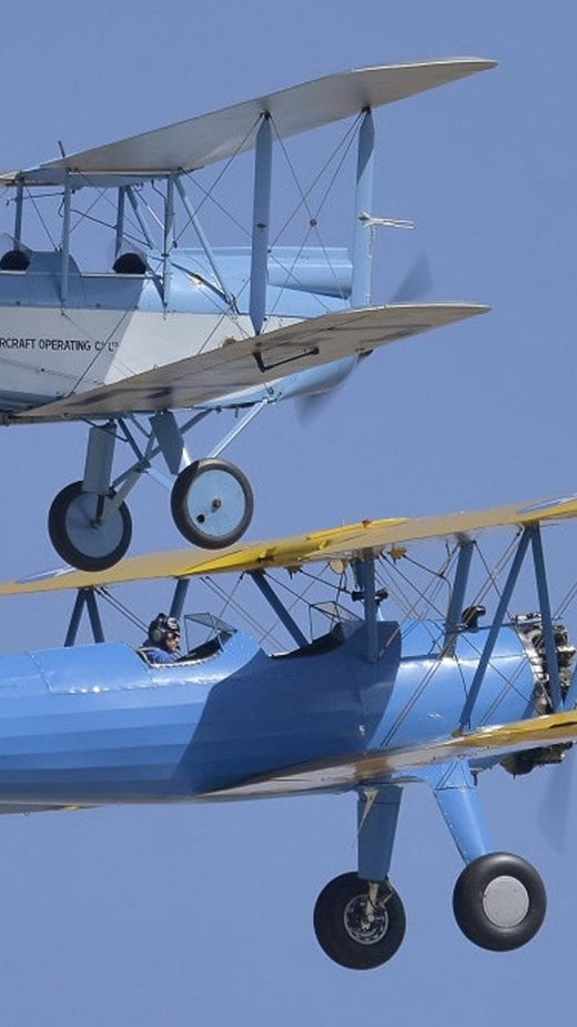 Exhibici&oacute;n en vuelo