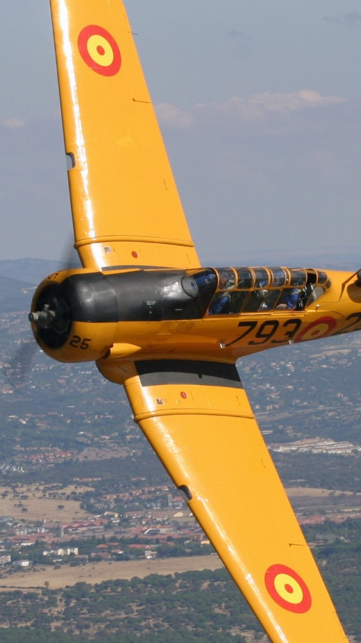 Exhibici&oacute;n en vuelo