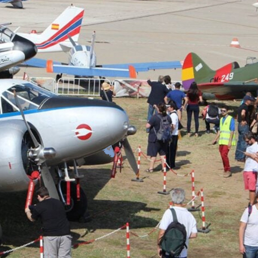 Exhibici&oacute;n en vuelo
