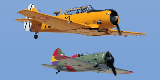 Exhibici&oacute;n en vuelo