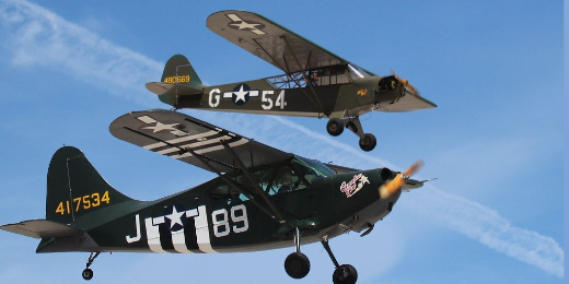 Exhibici&oacute;n en vuelo