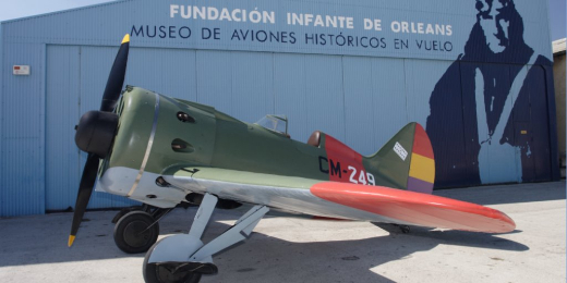 Exhibici&oacute;n en vuelo