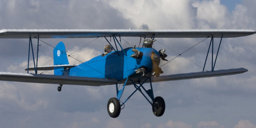 Exhibici&oacute;n en vuelo