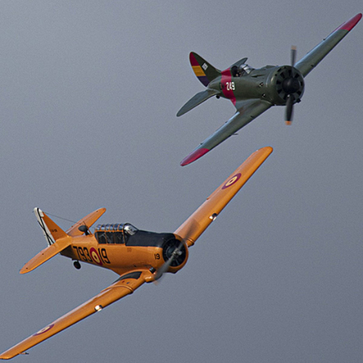 Exhibici&oacute;n en vuelo