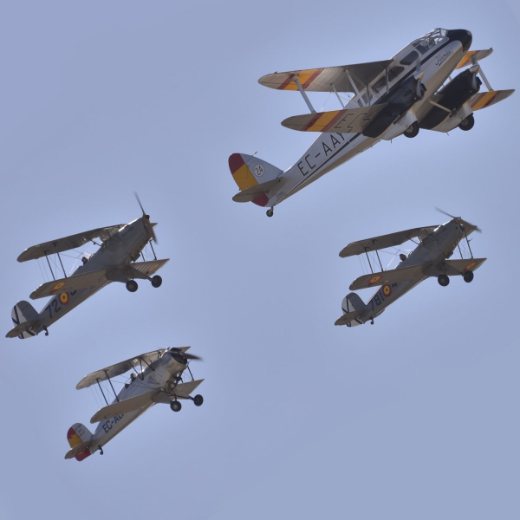 Exhibici&oacute;n en vuelo