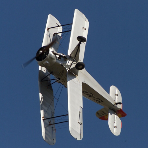 Exhibici&oacute;n en vuelo
