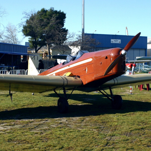 Exhibici&oacute;n en vuelo