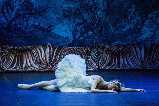 El Lago De Los Cisnes