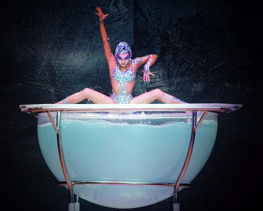 Gran Circo Acrob&aacute;tico de China