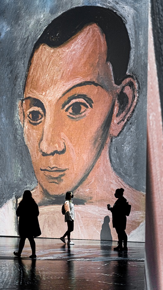 Imagine Picasso (&copy; Encore Productions)