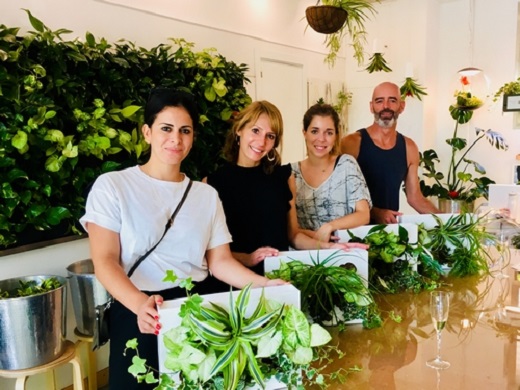 Crea tu propio Jard&iacute;n Vertical y Ll&eacute;vatelo a Casa