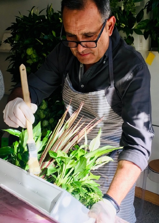 Crea tu propio Jard&iacute;n Vertical y Ll&eacute;vatelo a Casa