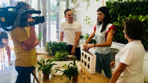 Crea tu propio Jard&iacute;n Vertical y Ll&eacute;vatelo a Casa