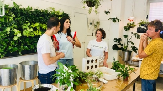 Crea tu propio Jard&iacute;n Vertical y Ll&eacute;vatelo a Casa