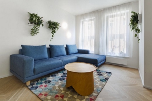 Crea tu propio Jard&iacute;n Vertical y Ll&eacute;vatelo a Casa