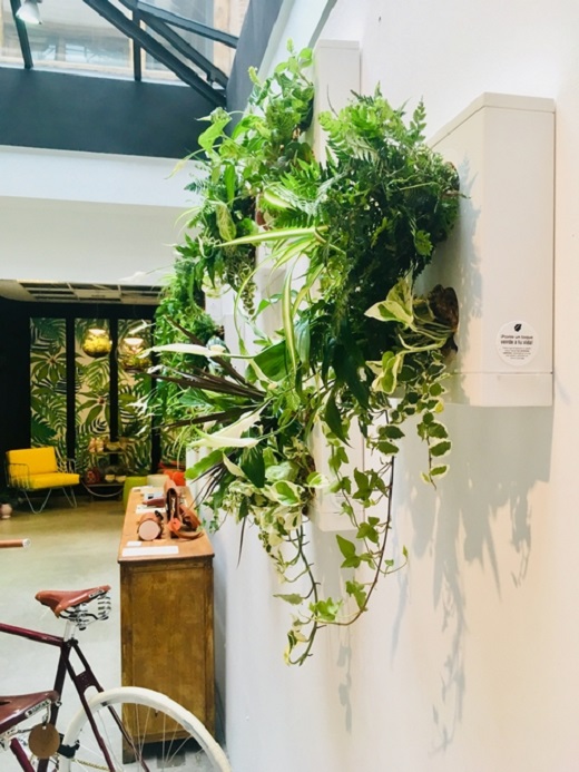 Crea tu propio Jard&iacute;n Vertical y Ll&eacute;vatelo a Casa