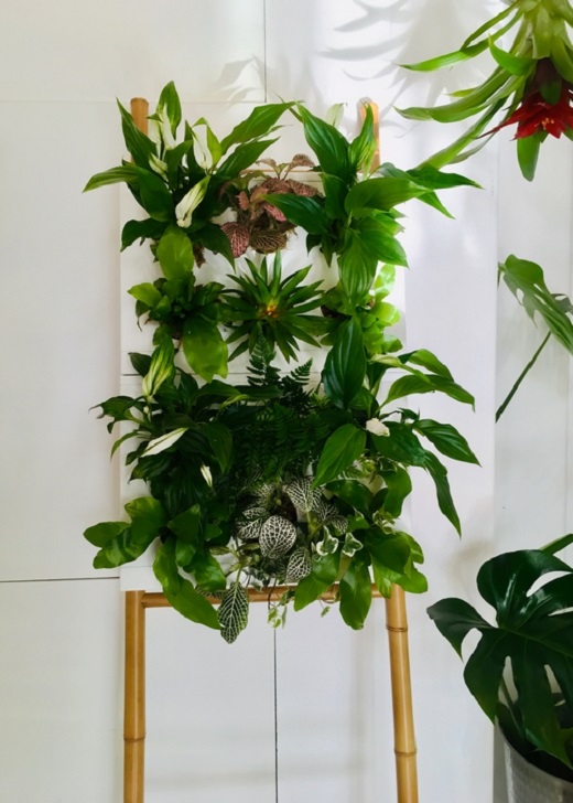 Crea tu propio Jard&iacute;n Vertical y Ll&eacute;vatelo a Casa