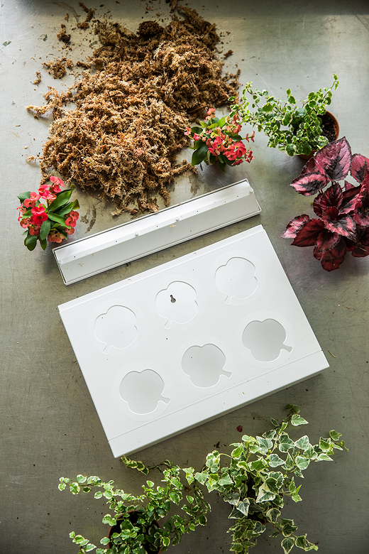 Crea tu propio Jard&iacute;n Vertical y Ll&eacute;vatelo a Casa