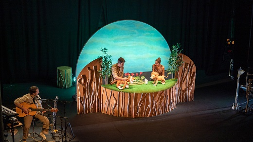 Les aventures del Lle&oacute; Vergony&oacute;s