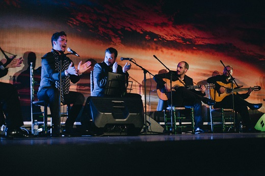 Mi Caseta Flamenco Show