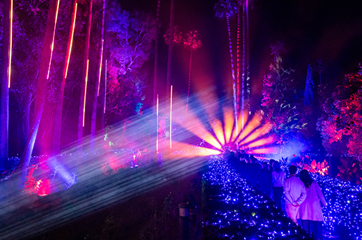 
Naturaleza Encendida Sevilla