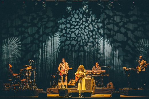 Noches del Bot&aacute;nico