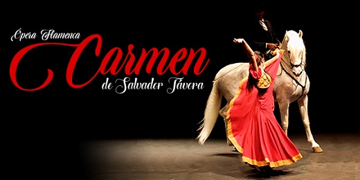 Carmen de Salvador Tavora