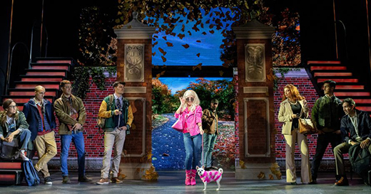 Una rubia muy legal, El Musical