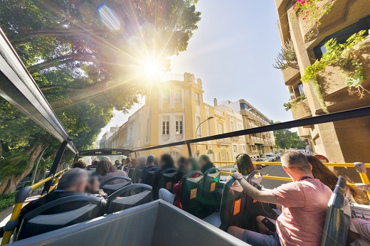 Santa Cruz de Tenerife City View