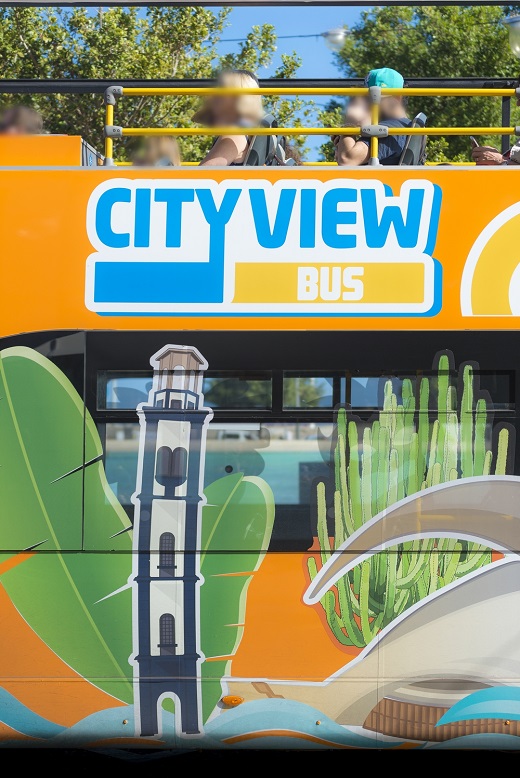 Santa Cruz de Tenerife City View