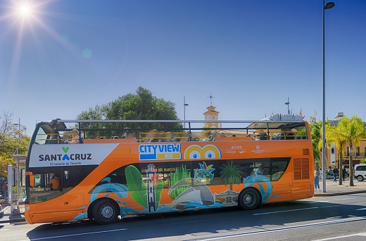 Santa Cruz de Tenerife City View