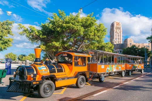 Santa Cruz de Tenerife City View