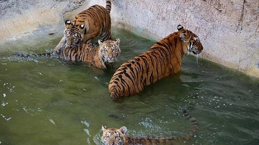 Terra Natura 