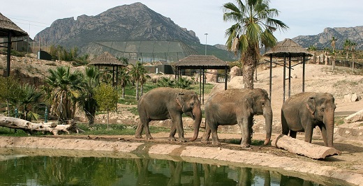 Terra Natura