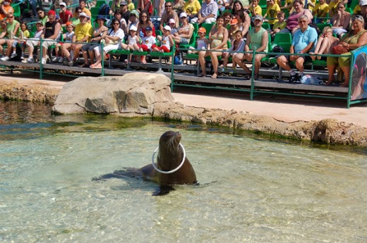 Terra Natura