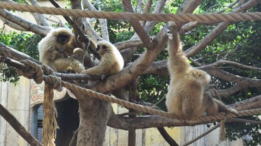 Terra Natura