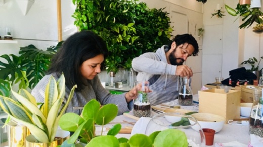 Crea tu propio Terrario y Ll&eacute;vatelo a Casa