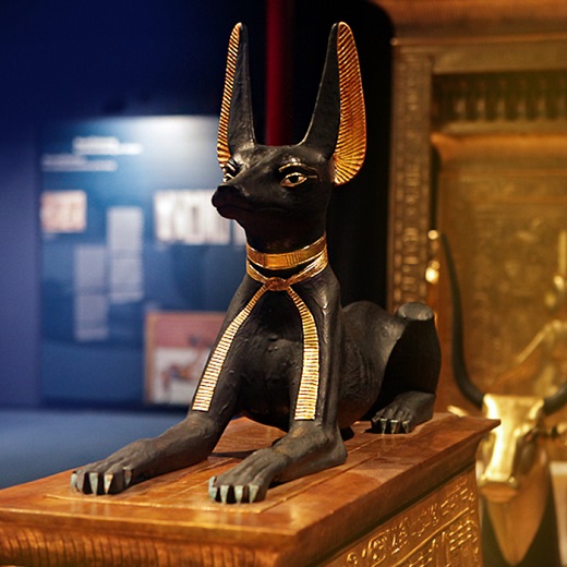 Tutankham&oacute;n: La Tumba y Sus Tesoros