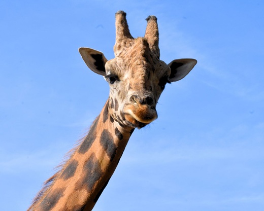 Terra Natura Murcia