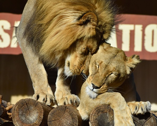 Terra Natura Murcia