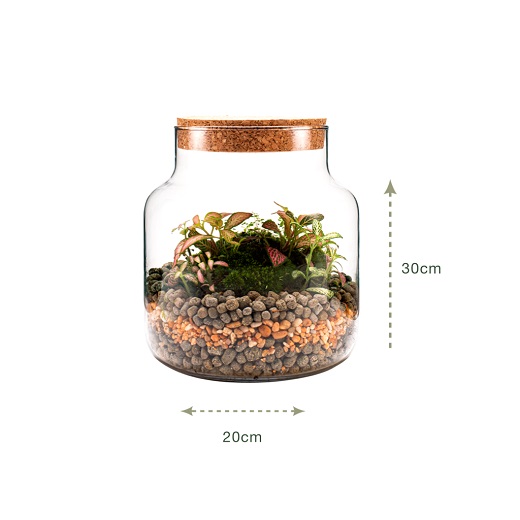 Crea tu Terrario Eterno