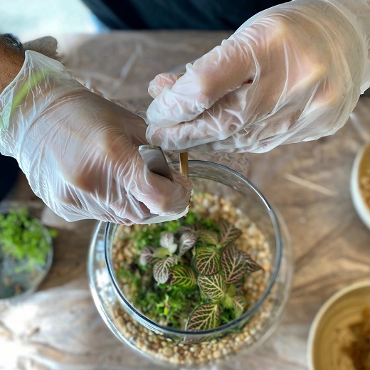 Crea tu Terrario Eterno