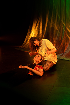 Un disparo a la luna