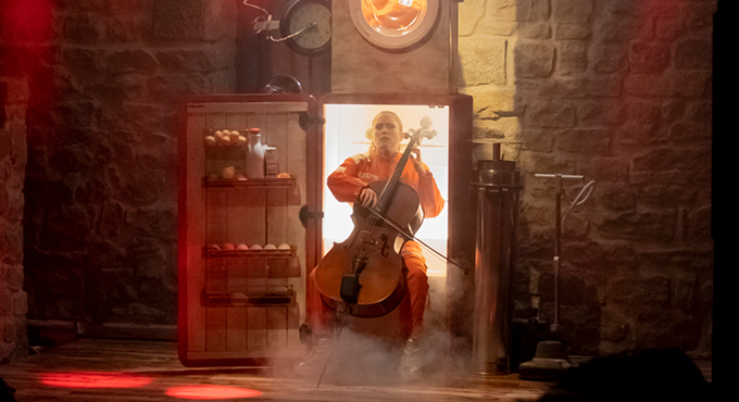 Violin&iacute;sticas