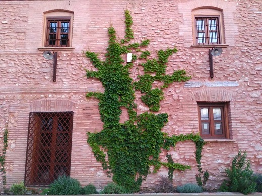 Mol&iacute; Vell de Benifai&oacute;