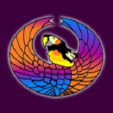 La Chocita del Loro - Senator