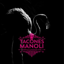 Tacones Manoli