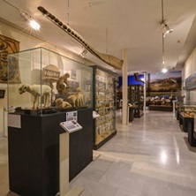 Museo Aguilar y Eslava